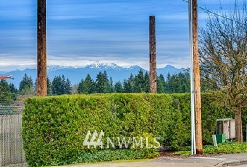 1630 Scenic, Everett, Washington 98203, 2 Bedrooms Bedrooms, ,1 BathroomBathrooms,Residential,For Sale,One Story on Dbl Lot,Scenic,NWM1882018