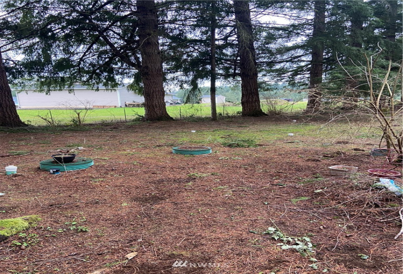 884 Cinebar, Cinebar, Washington 98533, 2 Bedrooms Bedrooms, ,1 BathroomBathrooms,Residential,For Sale,Cinebar,NWM1882091