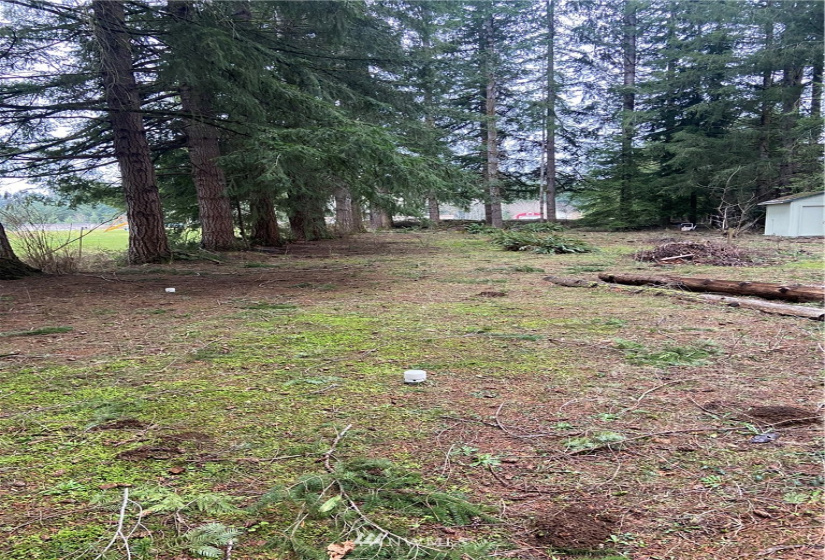 884 Cinebar, Cinebar, Washington 98533, 2 Bedrooms Bedrooms, ,1 BathroomBathrooms,Residential,For Sale,Cinebar,NWM1882091