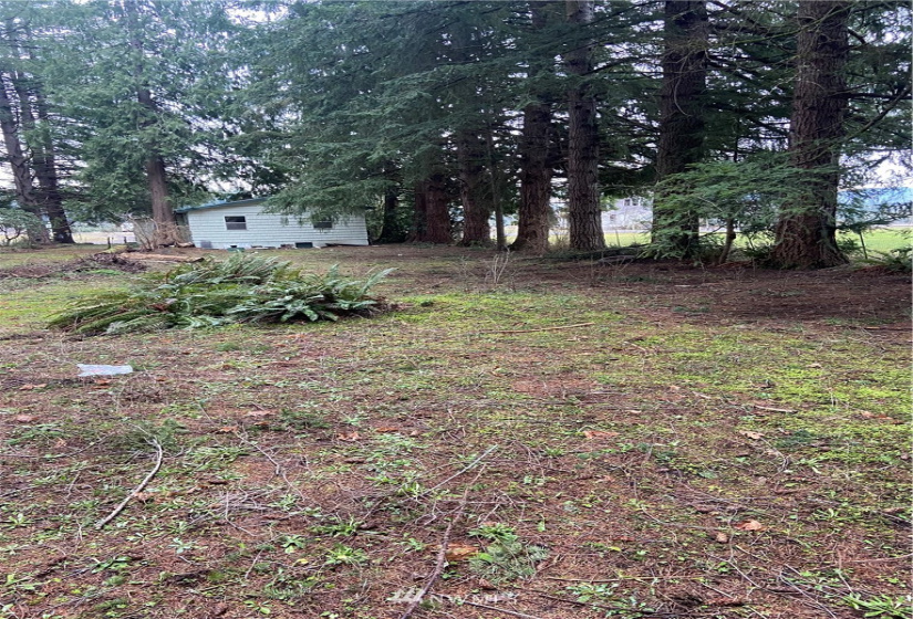 884 Cinebar, Cinebar, Washington 98533, 2 Bedrooms Bedrooms, ,1 BathroomBathrooms,Residential,For Sale,Cinebar,NWM1882091