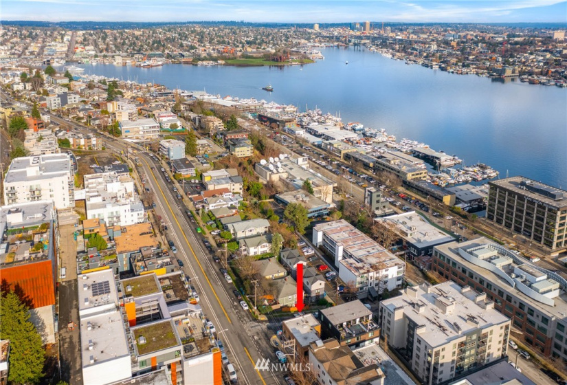 1628 Dexter, Seattle, Washington 98109, ,Commercial Sale,For Sale,Dexter,NWM1881316