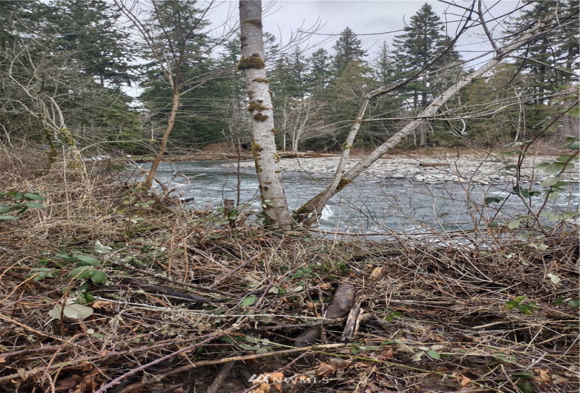 23120 Candy, Yelm, Washington 98597, ,Land,For Sale,Falling Horseshoe Tracts,Candy,NWM1881355