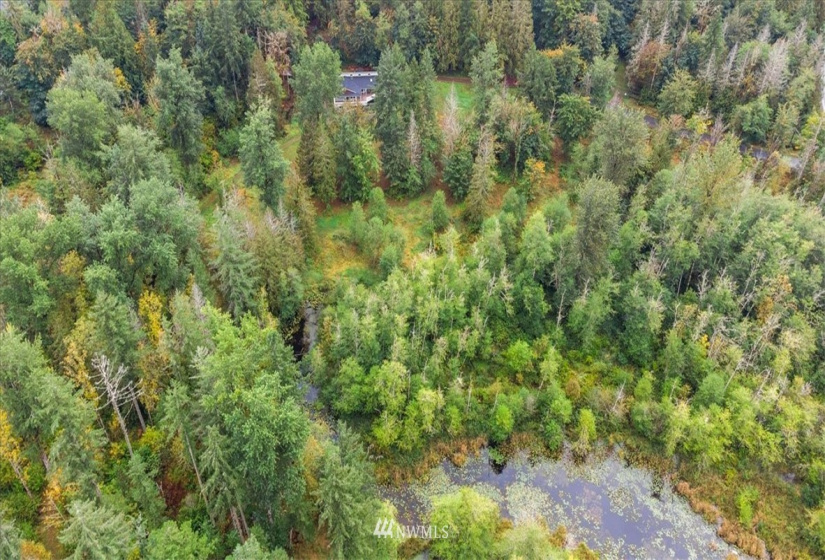 34709 Thomas, Eatonville, Washington 98328, 4 Bedrooms Bedrooms, ,4 BathroomsBathrooms,Residential,For Sale,Thomas,NWM1881207