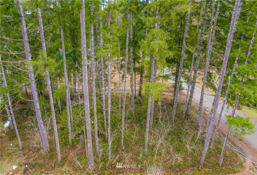 714 XXX Blueberry, Elma, Washington 98541, ,Land,For Sale,Blueberry,NWM1880877