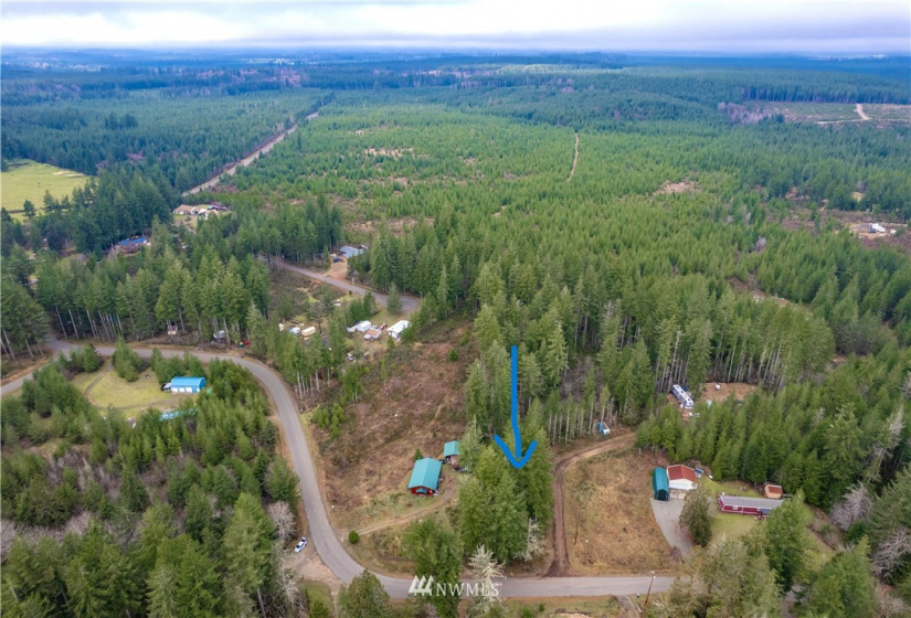 714 XXX Blueberry, Elma, Washington 98541, ,Land,For Sale,Blueberry,NWM1880877