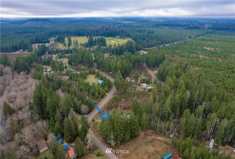 714 XXX Blueberry, Elma, Washington 98541, ,Land,For Sale,Blueberry,NWM1880877