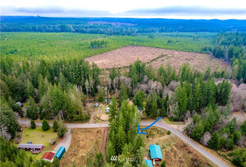 714 XXX Blueberry, Elma, Washington 98541, ,Land,For Sale,Blueberry,NWM1880877