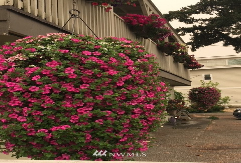 7456 Birch Bay, Blaine, Washington 98230, ,Residential Income,For Sale,JJ Short Plat,Birch Bay,NWM1881365