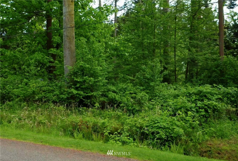 1441 Churchill, Point Roberts, Washington 98281, ,Land,For Sale,Sunrise Terrace Division 2,Churchill,NWM1881978