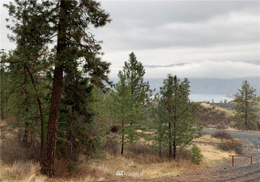 39255 Sterling Valley, Lincoln, Washington 99147, ,Land,For Sale,Sterling Valley,NWM1881885