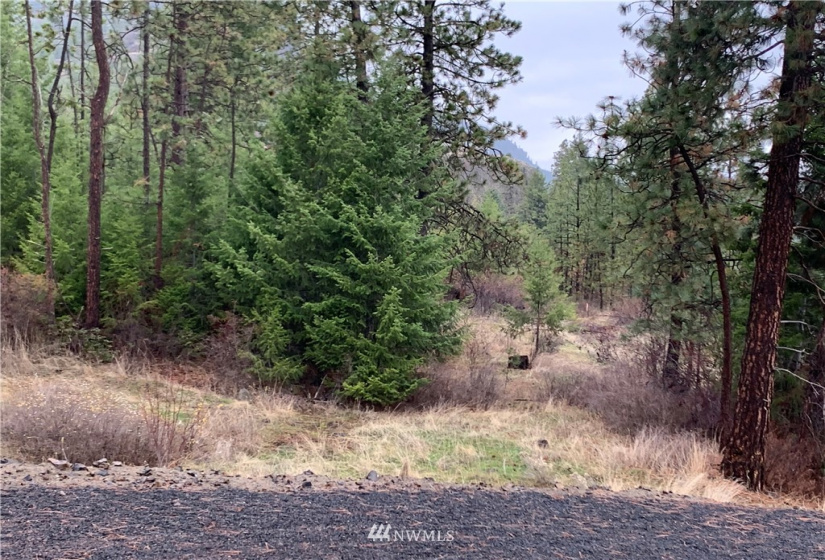 39255 Sterling Valley, Lincoln, Washington 99147, ,Land,For Sale,Sterling Valley,NWM1881885