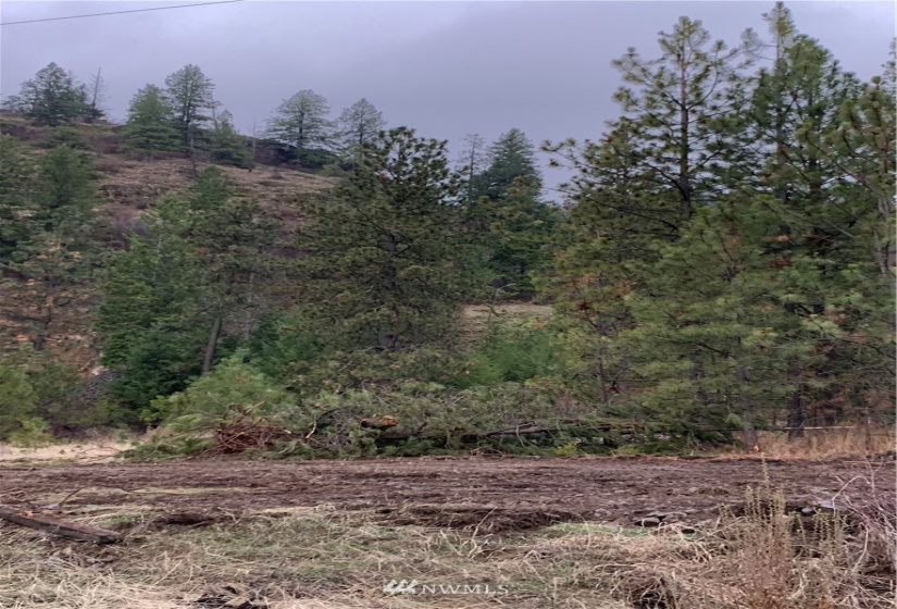 39255 Sterling Valley, Lincoln, Washington 99147, ,Land,For Sale,Sterling Valley,NWM1881885