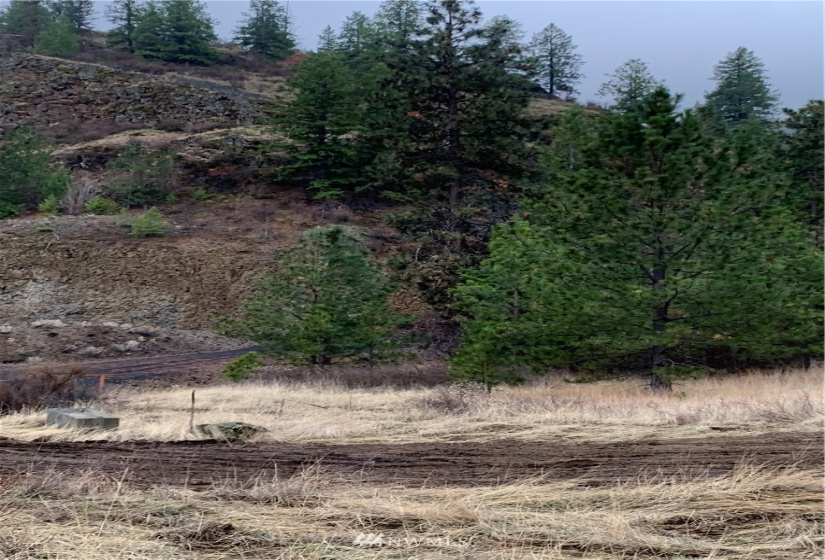 39255 Sterling Valley, Lincoln, Washington 99147, ,Land,For Sale,Sterling Valley,NWM1881885