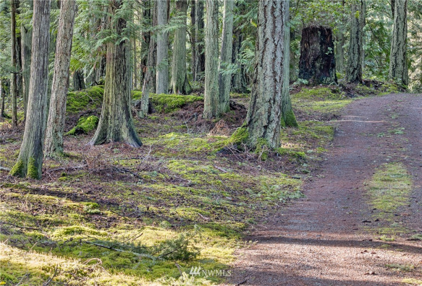 222 Heron, San Juan Island, Washington 98250, 2 Bedrooms Bedrooms, ,Residential,For Sale,First Addn to Yacht Haven,Heron,NWM1878560