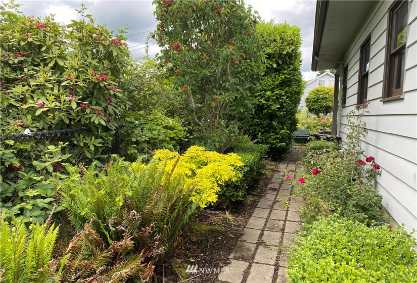 214 Orchard, Eatonville, Washington 98328, 5 Bedrooms Bedrooms, ,2 BathroomsBathrooms,Residential,For Sale,Orchard,NWM1882165