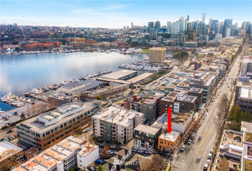 1628 Dexter, Seattle, Washington 98109, ,Residential Income,For Sale,Dexter,NWM1882284