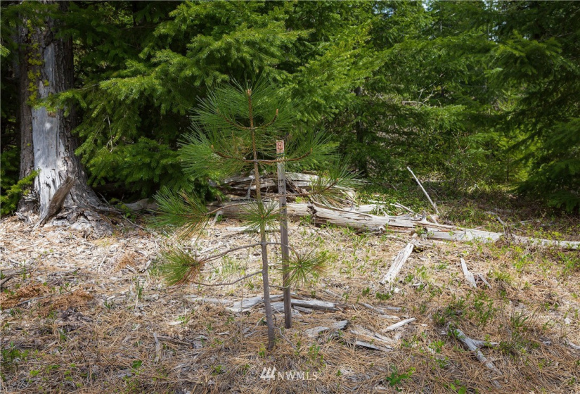 0 Lot H R&R Heights, Roslyn, Washington 98941, ,Land,For Sale,R&R Heights Phase II,R&R Heights,NWM1882363