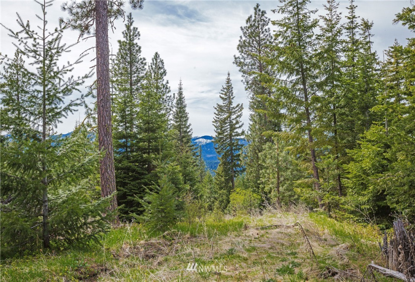 0 Lot H R&R Heights, Roslyn, Washington 98941, ,Land,For Sale,R&R Heights Phase II,R&R Heights,NWM1882363