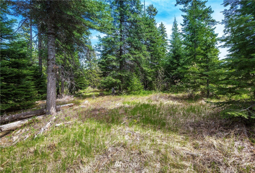 0 Lot H R&R Heights, Roslyn, Washington 98941, ,Land,For Sale,R&R Heights Phase II,R&R Heights,NWM1882363