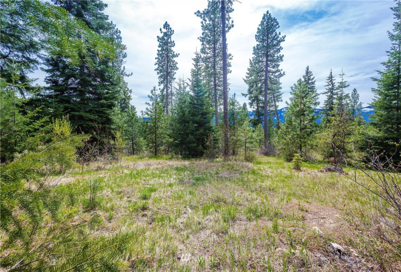 0 Lot H R&R Heights, Roslyn, Washington 98941, ,Land,For Sale,R&R Heights Phase II,R&R Heights,NWM1882363