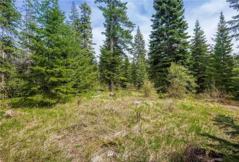 0 Lot H R&R Heights, Roslyn, Washington 98941, ,Land,For Sale,R&R Heights Phase II,R&R Heights,NWM1882363