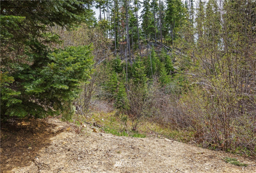 0 Lot H R&R Heights, Roslyn, Washington 98941, ,Land,For Sale,R&R Heights Phase II,R&R Heights,NWM1882363