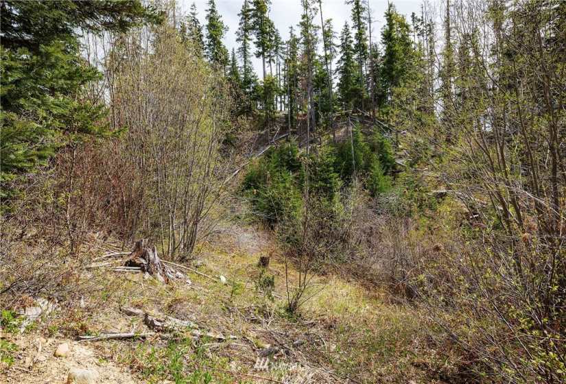 0 Lot H R&R Heights, Roslyn, Washington 98941, ,Land,For Sale,R&R Heights Phase II,R&R Heights,NWM1882363