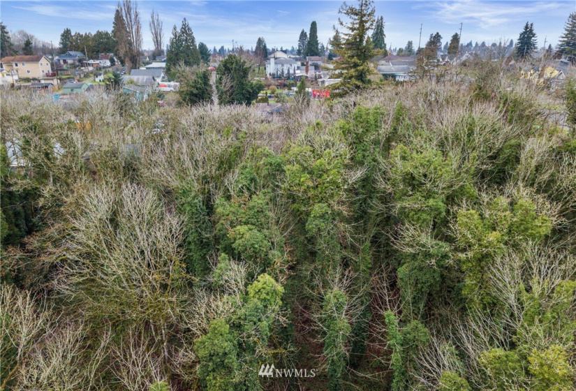 3539 Grandview, Tacoma, Washington 98404, ,Land,For Sale,Indian Addition,Grandview,NWM1881955