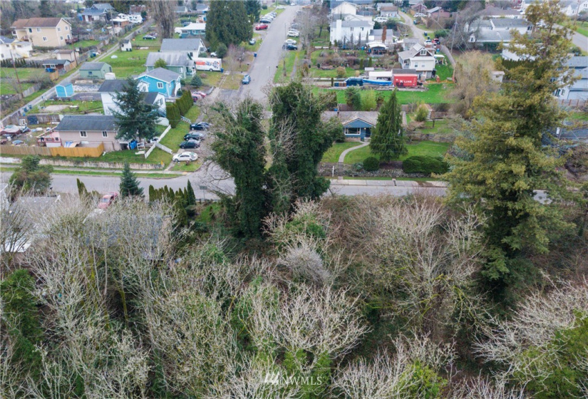 3539 Grandview, Tacoma, Washington 98404, ,Land,For Sale,Indian Addition,Grandview,NWM1881955