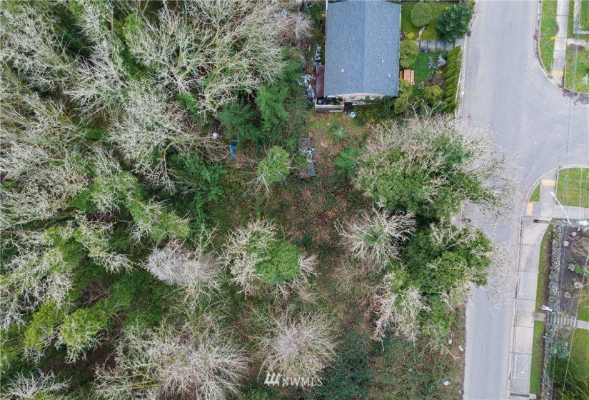 3539 Grandview, Tacoma, Washington 98404, ,Land,For Sale,Indian Addition,Grandview,NWM1881955