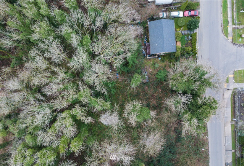 3539 Grandview, Tacoma, Washington 98404, ,Land,For Sale,Indian Addition,Grandview,NWM1881955