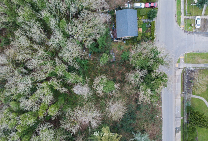 3539 Grandview, Tacoma, Washington 98404, ,Land,For Sale,Indian Addition,Grandview,NWM1881955