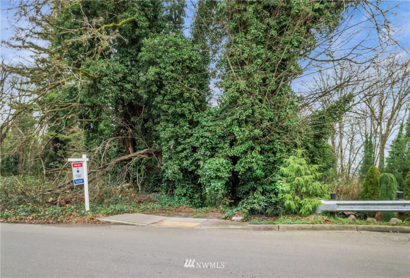 3539 Grandview, Tacoma, Washington 98404, ,Land,For Sale,Indian Addition,Grandview,NWM1881955