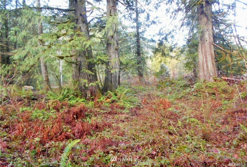 0 US Hwy 101, Quilcene, Washington 98376, ,Land,For Sale,US Hwy 101,NWM1880644