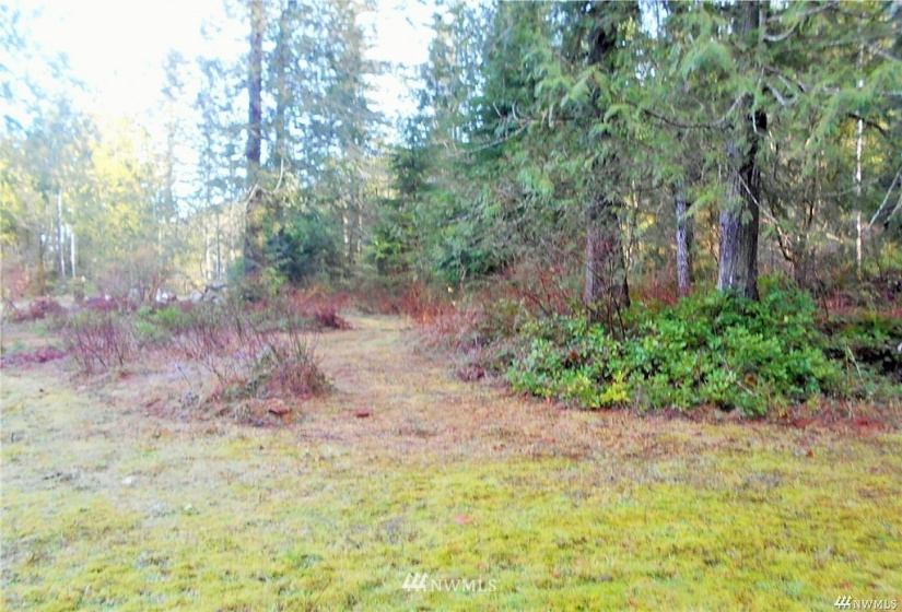 0 US Hwy 101, Quilcene, Washington 98376, ,Land,For Sale,US Hwy 101,NWM1880644