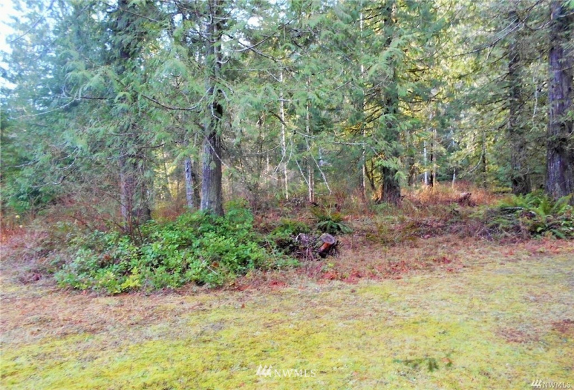 0 US Hwy 101, Quilcene, Washington 98376, ,Land,For Sale,US Hwy 101,NWM1880644