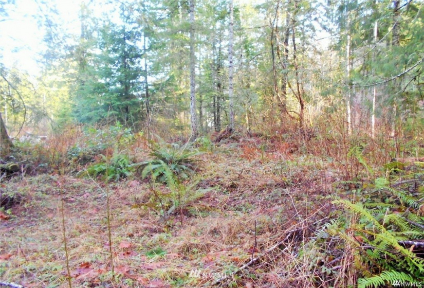 0 US Hwy 101, Quilcene, Washington 98376, ,Land,For Sale,US Hwy 101,NWM1880644