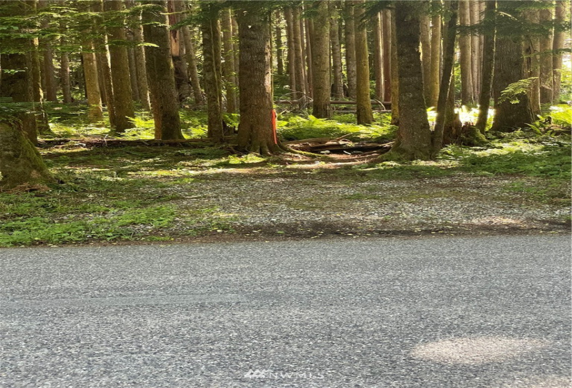 0 Shore, Lake Cavanaugh, Washington 98274, ,Land,For Sale,Lake Cavenauagh,Shore,NWM1881719