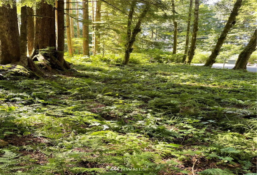 0 Shore, Lake Cavanaugh, Washington 98274, ,Land,For Sale,Lake Cavenauagh,Shore,NWM1881719