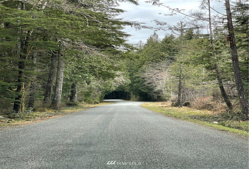 0 Shore, Lake Cavanaugh, Washington 98274, ,Land,For Sale,Lake Cavenauagh,Shore,NWM1881719