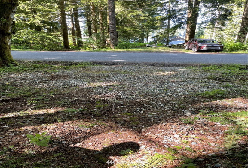 0 Shore, Lake Cavanaugh, Washington 98274, ,Land,For Sale,Lake Cavenauagh,Shore,NWM1881719