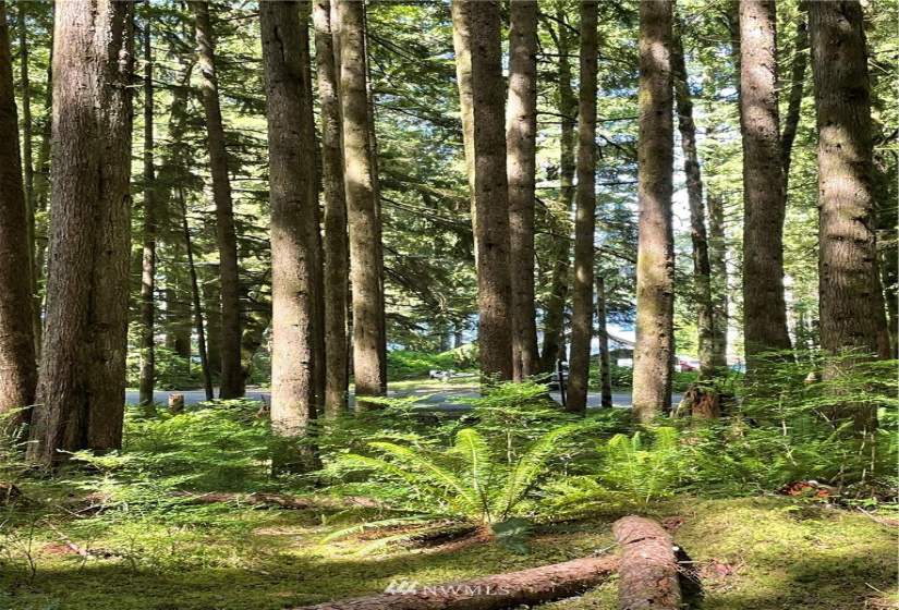 0 Shore, Lake Cavanaugh, Washington 98274, ,Land,For Sale,Lake Cavenauagh,Shore,NWM1881719