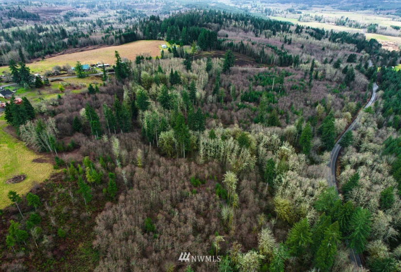 0 Oppelt, Chehalis, Washington 98532, ,Land,For Sale,Oppelt,NWM1882436