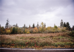 0 Oppelt, Chehalis, Washington 98532, ,Land,For Sale,Oppelt,NWM1882436
