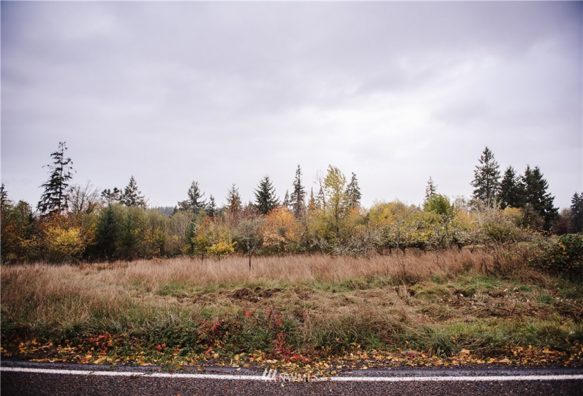 0 Oppelt, Chehalis, Washington 98532, ,Land,For Sale,Oppelt,NWM1882436