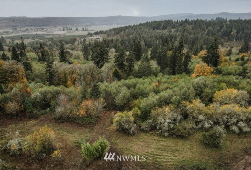 0 Oppelt, Chehalis, Washington 98532, ,Land,For Sale,Oppelt,NWM1882436
