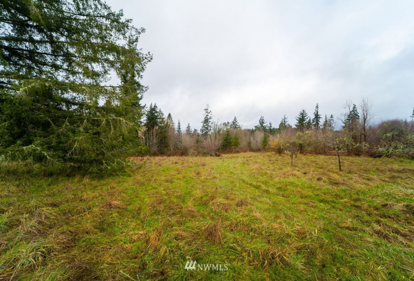 0 Oppelt, Chehalis, Washington 98532, ,Land,For Sale,Oppelt,NWM1882436