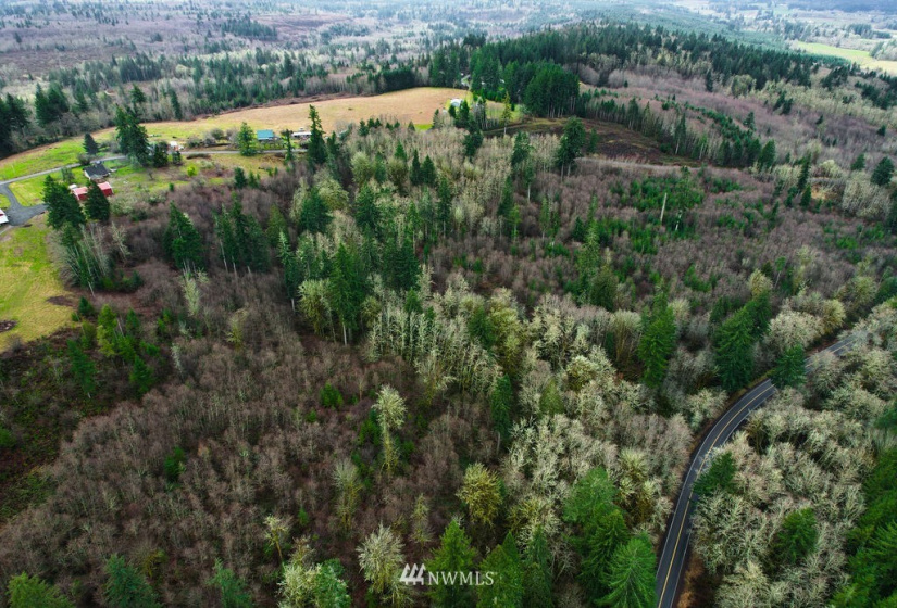 0 Oppelt, Chehalis, Washington 98532, ,Land,For Sale,Oppelt,NWM1882436