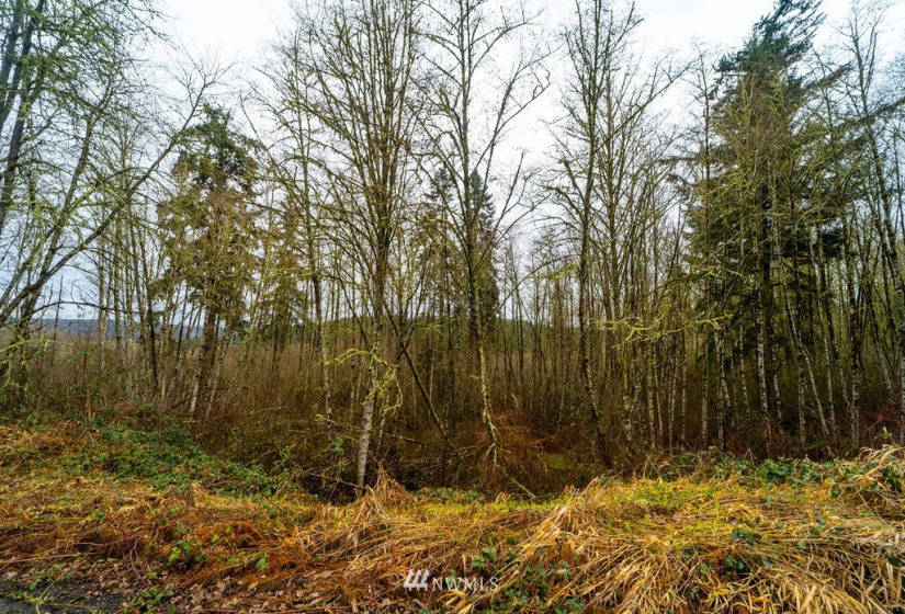 0 Oppelt, Chehalis, Washington 98532, ,Land,For Sale,Oppelt,NWM1882436
