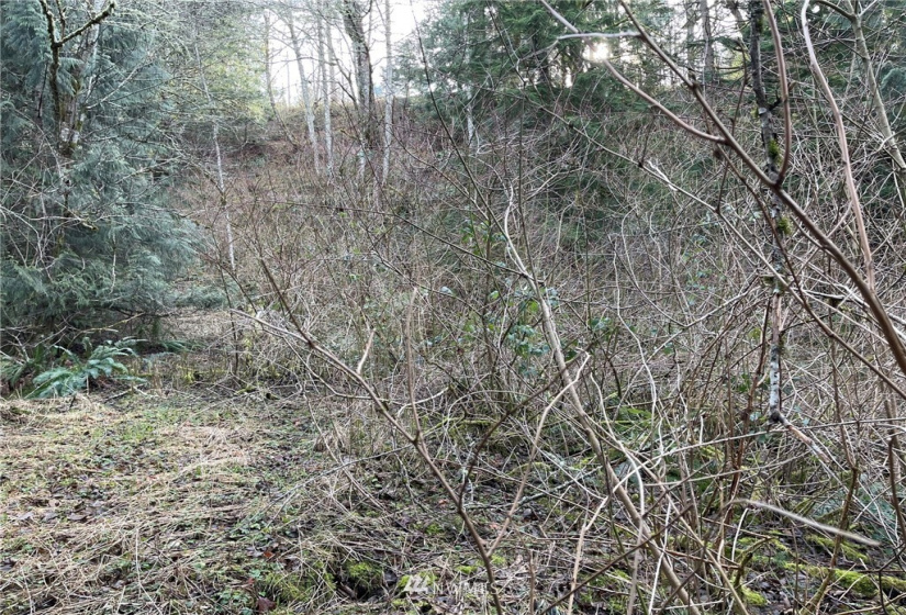 376 XX Lake Walker, Enumclaw, Washington 98022, ,Land,For Sale,Lake Walker,NWM1878949